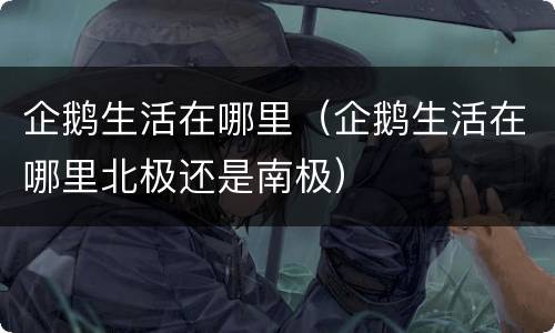 企鹅生活在哪里（企鹅生活在哪里北极还是南极）