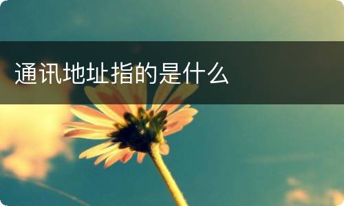 通讯地址指的是什么