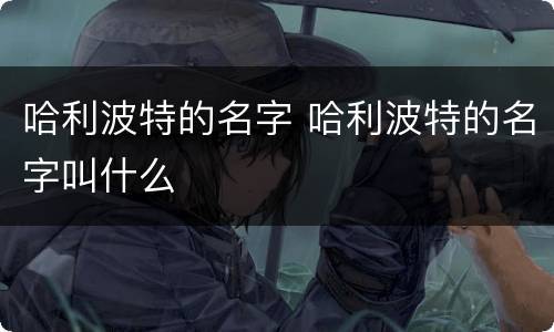 哈利波特的名字 哈利波特的名字叫什么