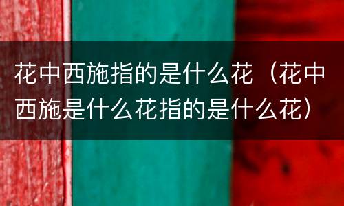 花中西施指的是什么花（花中西施是什么花指的是什么花）