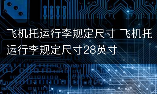 飞机托运行李规定尺寸 飞机托运行李规定尺寸28英寸