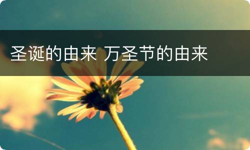 圣诞的由来 万圣节的由来