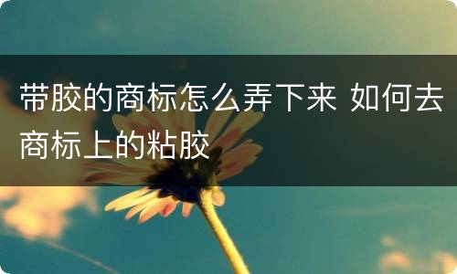 带胶的商标怎么弄下来 如何去商标上的粘胶