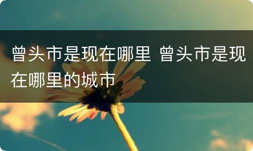 曾头市是现在哪里 曾头市是现在哪里的城市