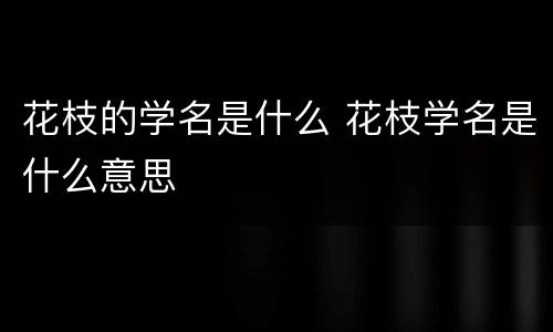 花枝的学名是什么 花枝学名是什么意思