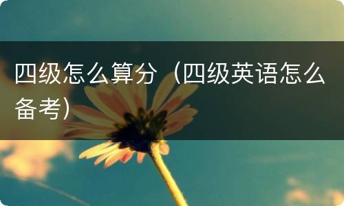四级怎么算分（四级英语怎么备考）