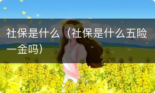 社保是什么（社保是什么五险一金吗）