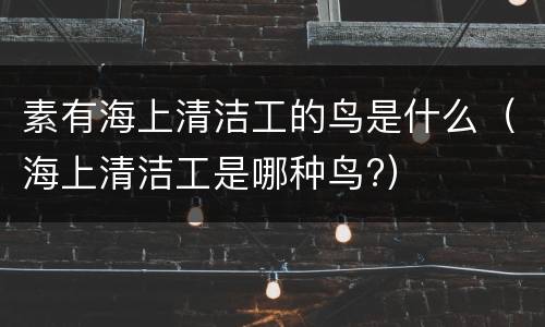 素有海上清洁工的鸟是什么（海上清洁工是哪种鸟?）