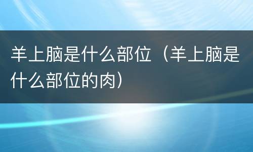 羊上脑是什么部位（羊上脑是什么部位的肉）