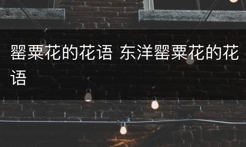 罂粟花的花语 东洋罂粟花的花语