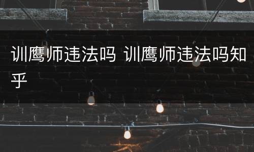 训鹰师违法吗 训鹰师违法吗知乎