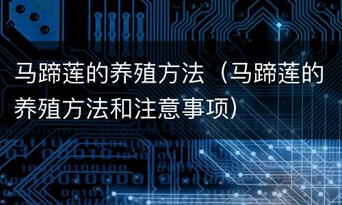 马蹄莲的养殖方法（马蹄莲的养殖方法和注意事项）