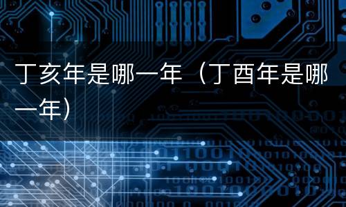 丁亥年是哪一年（丁酉年是哪一年）