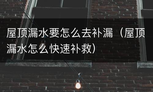 屋顶漏水要怎么去补漏（屋顶漏水怎么快速补救）