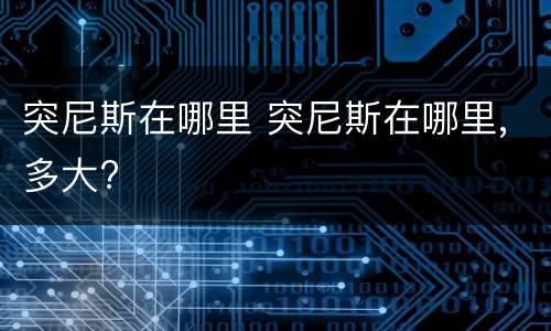 突尼斯在哪里 突尼斯在哪里,多大?