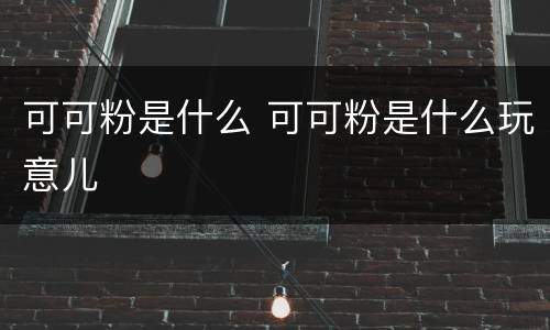 可可粉是什么 可可粉是什么玩意儿