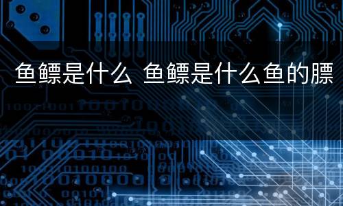 鱼鳔是什么 鱼鳔是什么鱼的膘