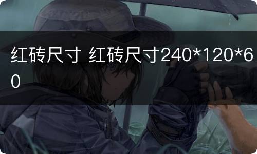 红砖尺寸 红砖尺寸240*120*60