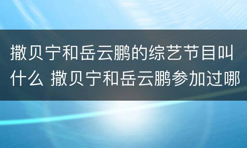 撒贝宁和岳云鹏的综艺节目叫什么 撒贝宁和岳云鹏参加过哪些综艺