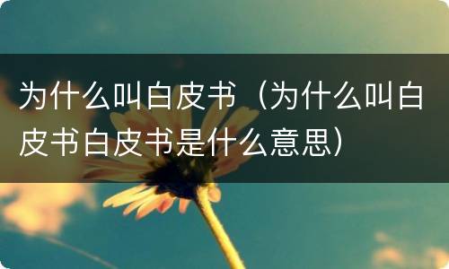 为什么叫白皮书（为什么叫白皮书白皮书是什么意思）