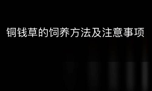 铜钱草的饲养方法及注意事项