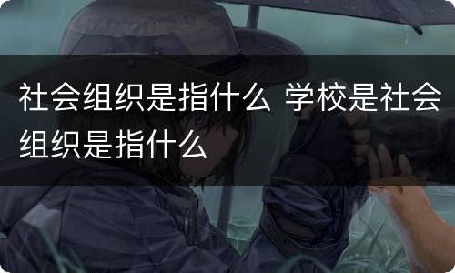 社会组织是指什么 学校是社会组织是指什么