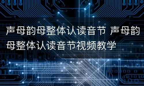 声母韵母整体认读音节 声母韵母整体认读音节视频教学