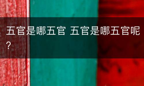 五官是哪五官 五官是哪五官呢?