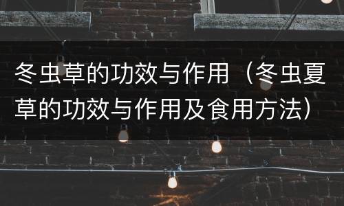 冬虫草的功效与作用（冬虫夏草的功效与作用及食用方法）