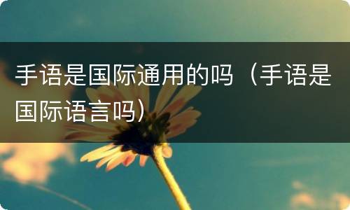 手语是国际通用的吗（手语是国际语言吗）