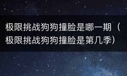 极限挑战狗狗撞脸是哪一期（极限挑战狗狗撞脸是第几季）