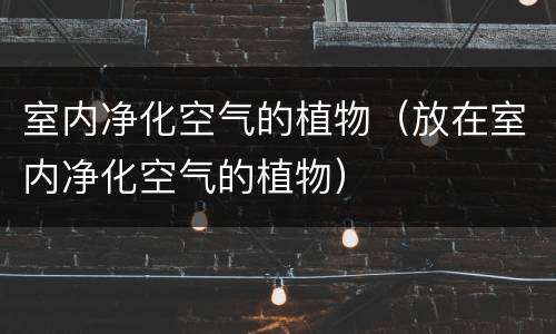 室内净化空气的植物（放在室内净化空气的植物）