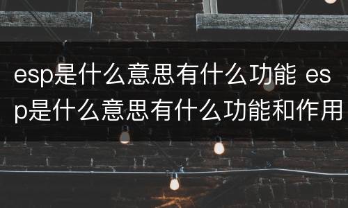 esp是什么意思有什么功能 esp是什么意思有什么功能和作用