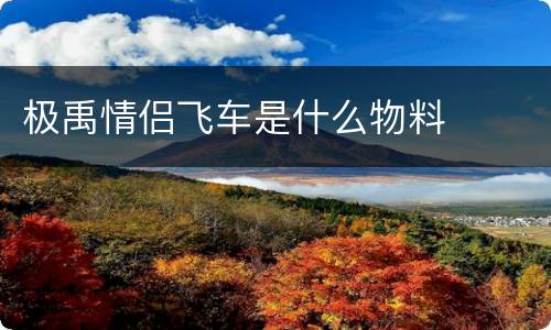 极禹情侣飞车是什么物料