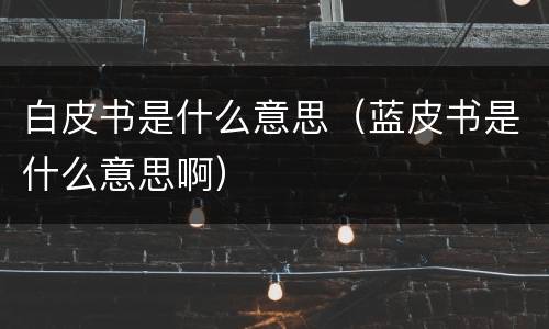 白皮书是什么意思（蓝皮书是什么意思啊）