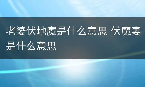 老婆伏地魔是什么意思 伏魔妻是什么意思