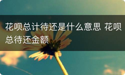 花呗总计待还是什么意思 花呗总待还金额