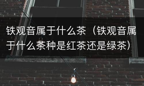 铁观音属于什么茶（铁观音属于什么茶种是红茶还是绿茶）