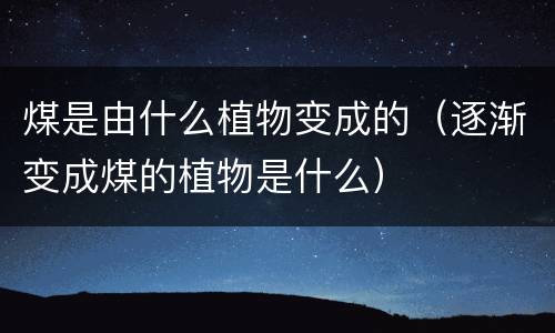煤是由什么植物变成的（逐渐变成煤的植物是什么）