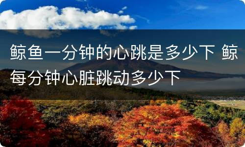 鲸鱼一分钟的心跳是多少下 鲸每分钟心脏跳动多少下