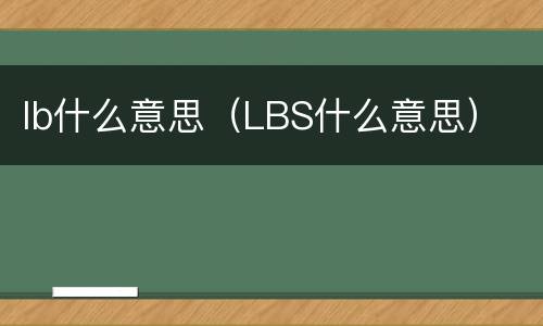 lb什么意思（LBS什么意思）