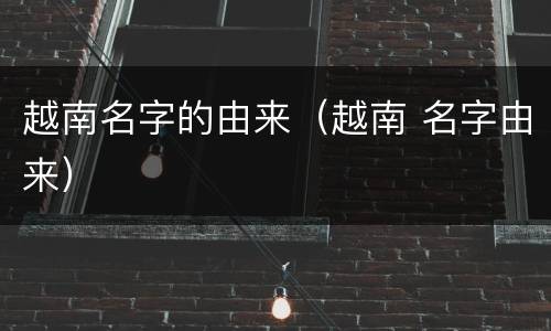 越南名字的由来（越南 名字由来）