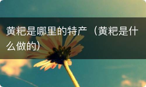 黄粑是哪里的特产（黄粑是什么做的）