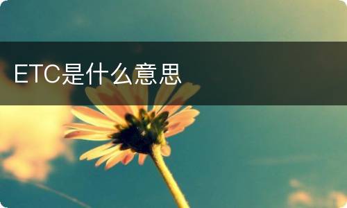 ETC是什么意思