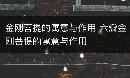 金刚菩提的寓意与作用 六瓣金刚菩提的寓意与作用