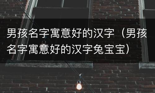男孩名字寓意好的汉字（男孩名字寓意好的汉字兔宝宝）