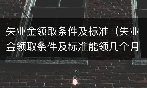 失业金领取条件及标准（失业金领取条件及标准能领几个月）