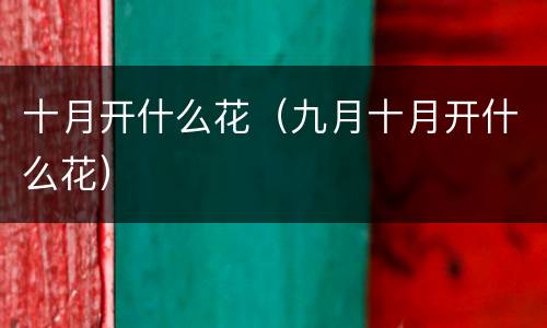 十月开什么花（九月十月开什么花）