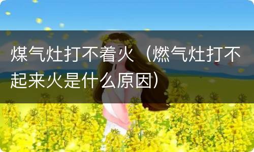 煤气灶打不着火（燃气灶打不起来火是什么原因）