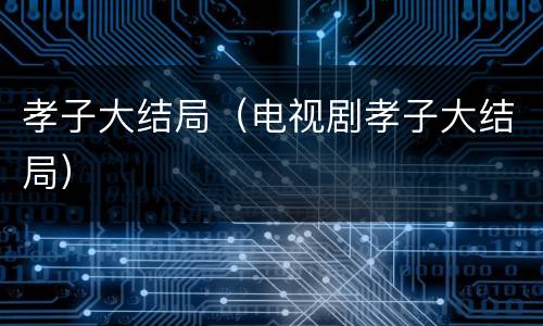孝子大结局（电视剧孝子大结局）